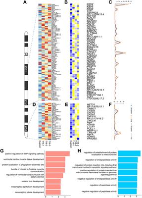 Single-Cell Transcriptomics of Cultured Amniotic Fluid Cells Reveals Complex Gene Expression Alterations in Human Fetuses With Trisomy 18